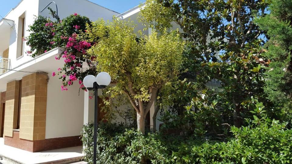 B & B La Magnolia สเปคคิโอลา ภายนอก รูปภาพ